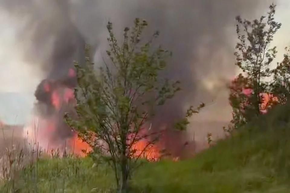 Горит больше 310 гектаров под Северодонецком: Огромный пожар грозит эвакуацией жителям ЛНР