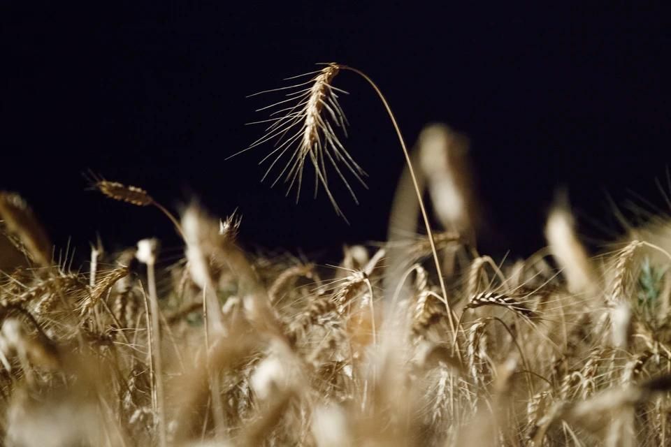 �������� ����� �� �������������� ������ ������ ���������� ���