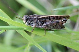 ���������� ���������� ����������: ������ � ���� ��������