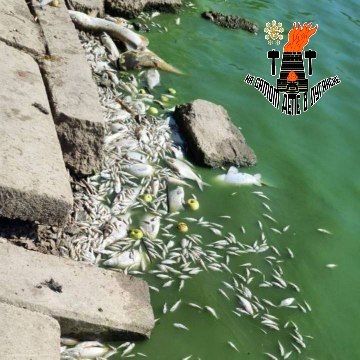 � ��������� ���� ������ ����: ����������� ���� �������