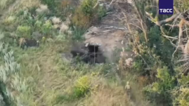 ����������� "�����" ���������� ������������ ��������� ����� ��������� � ���