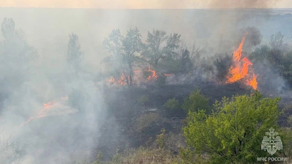 �� ����� � ��� �������� ����� 77 ��������