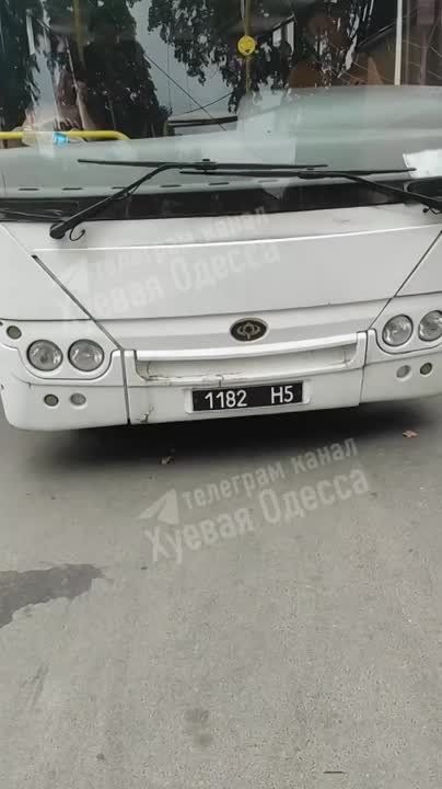 � ������ �������� ������ ����������� ������� ��������, ������� ������ ������ ������ ����������������� ����