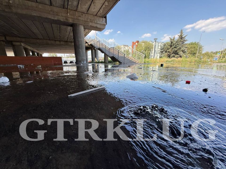 �� ����� �������� �������� ����� ������ ������