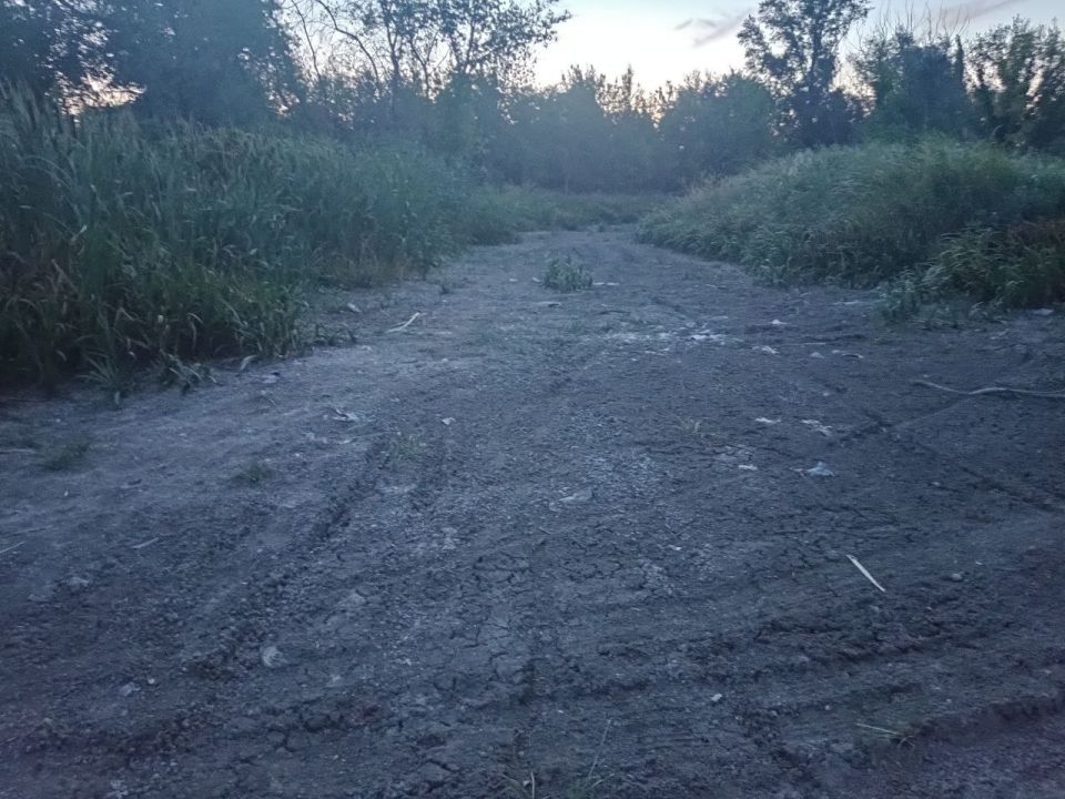 � ������� Telegram-������� ������� ��������� �������� ��� ���� �� ��������� ����