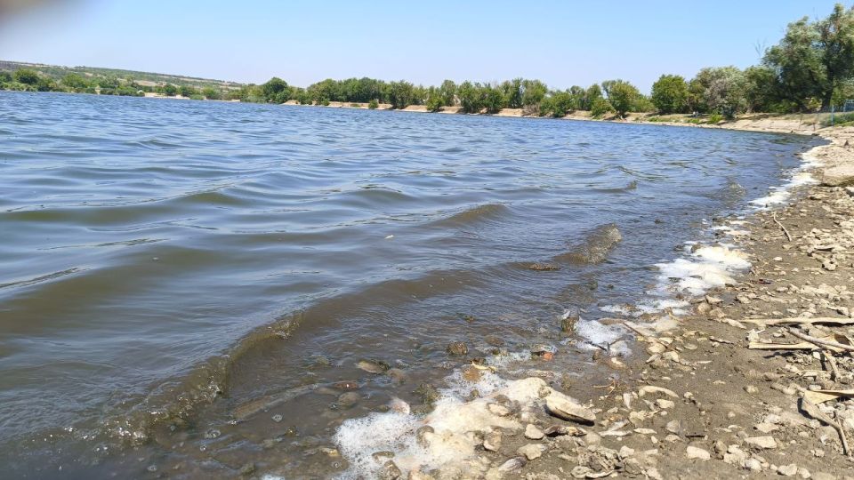 ������� ������� � ���������� ����