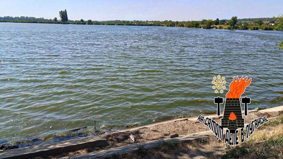 ������� ������� � ���������� ����