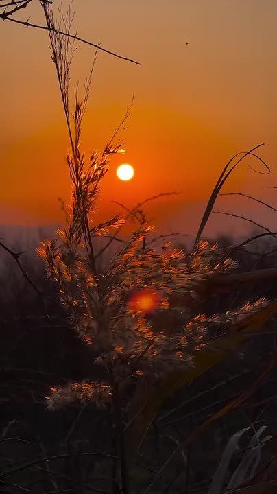 �������� �������� ������ �������� ������ ����� ������ �������� ��������� �������� ���������� �� ����� �������� ����� ������� ����� ����� ������ ���������