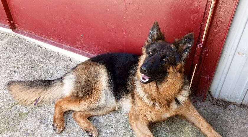 ����� ������ ��������: ��� ������ �� ������ ����� � ����� ������ ������� ����� ����� �� ��������� �������� �������� � ������. � ����� ������� ��� �� ������ ���� ����� ���, � ���� ������ ��������, ������� ������� �� ������ �...