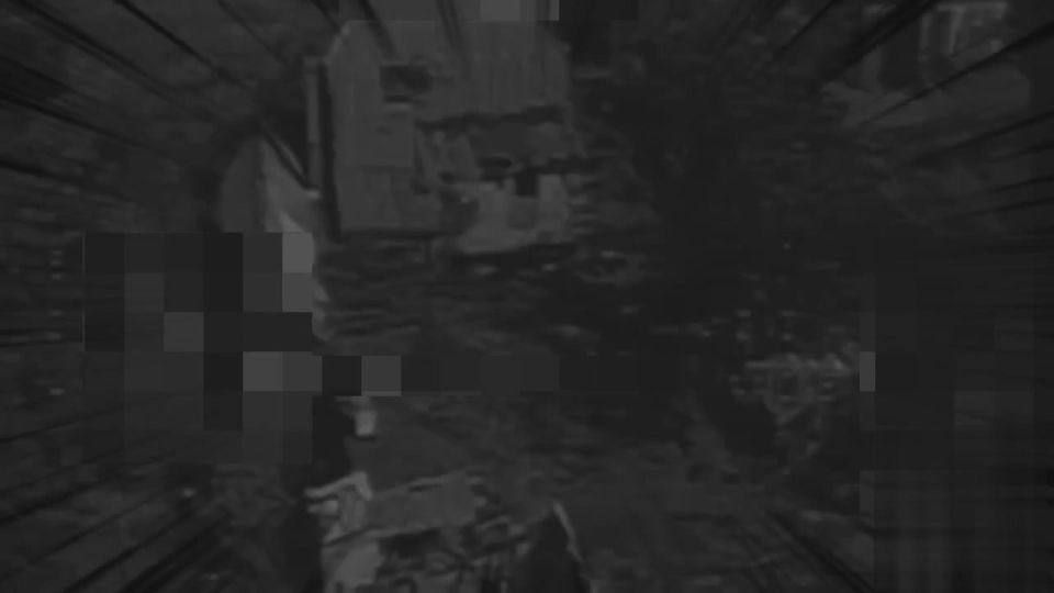 ��� �� �������������: FPV ����������� "�����" ���������� ���������� ������� �� ���������