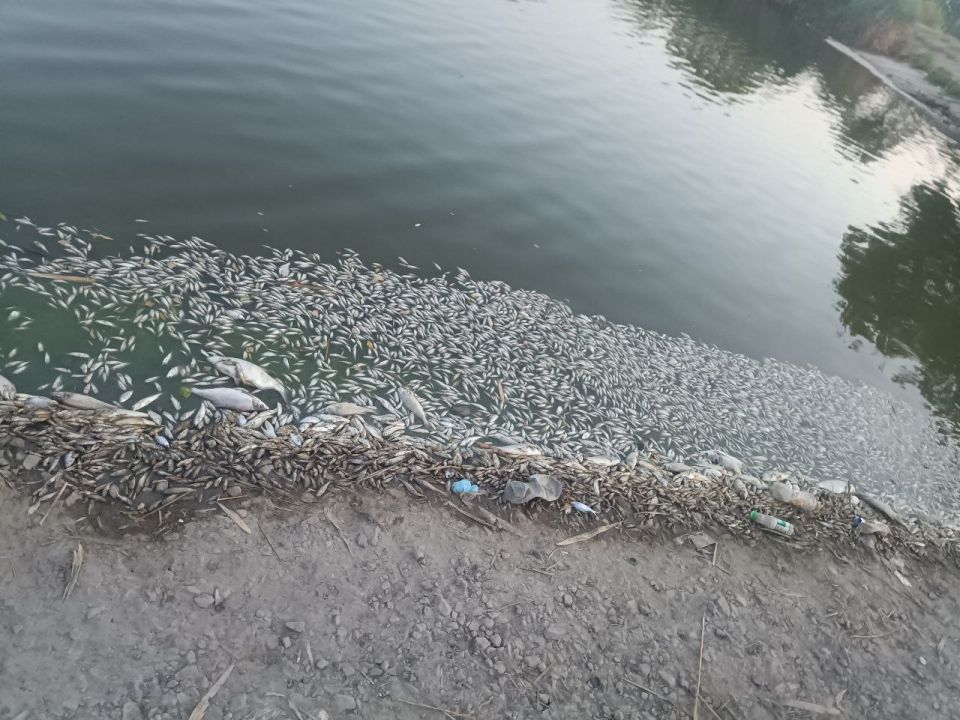 ����� �� ����������� ���������� ���� � ����������� ��������� ������ �������� �� ���������