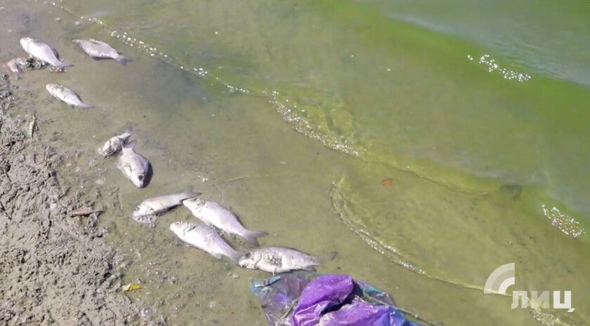 ��� ���� � ��������� ���� ��������� ��-�� ���������� ���� � ���������