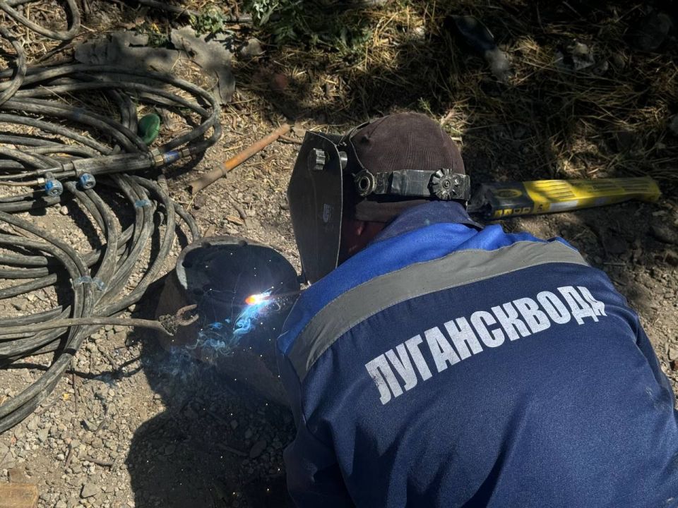 � ���� ����������� ������ ��������-����������������� ����� �������������: