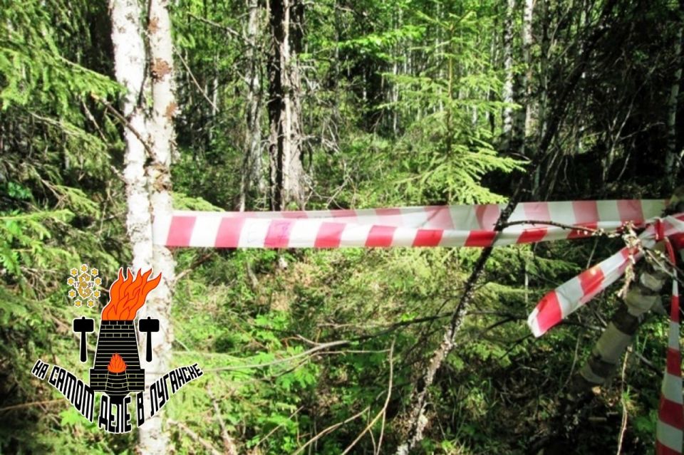 ������� � ��� �������� ���� ��������