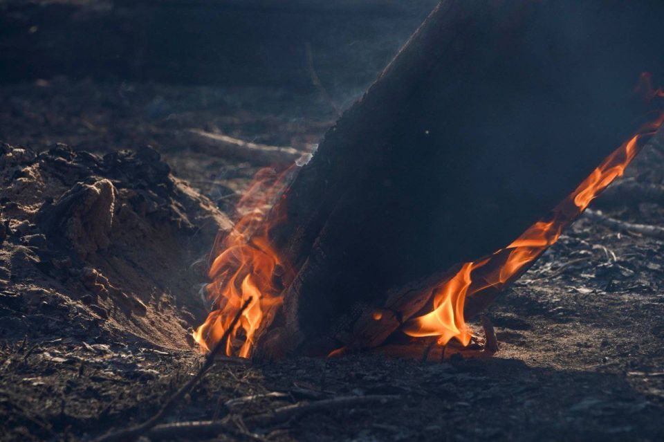 ��������� ���� �������� ����� � ������������ �������������