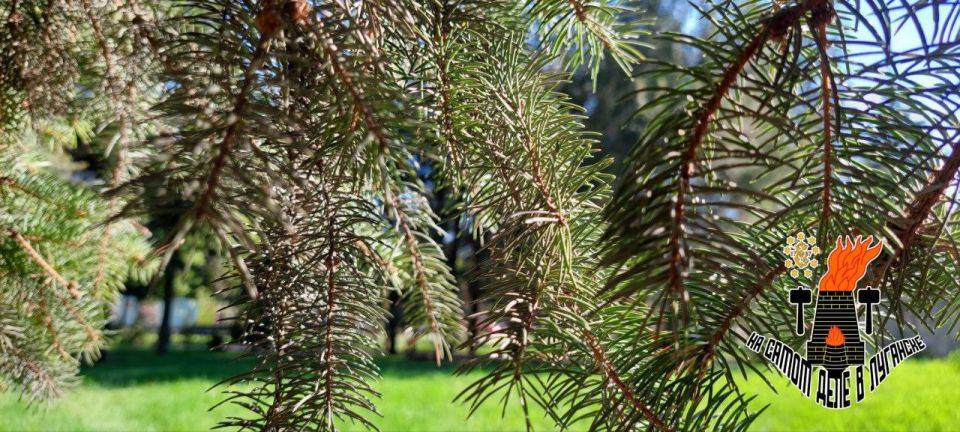 � ��� �������� ��������������� ��������� ����������