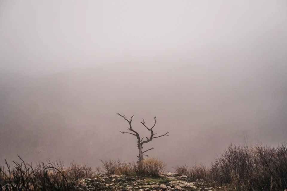 � ��� ������������ ������� ����� � ����