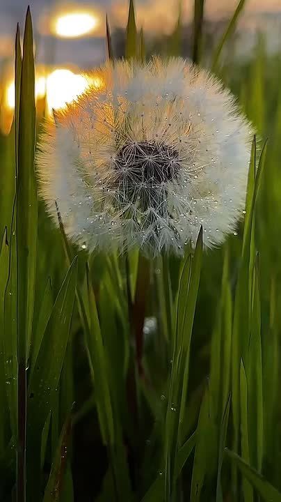 ���� �� ������ ����� ��, ��� ������� �� �����, � ������� ������ ��, ���� ������� �� ������