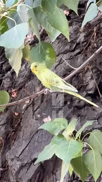 ��� ������ ��������- ������� ����� �������� ����� ��������� �� ������ ��������! �������, ��� ����� - ��� �� �������� � ������� ����������