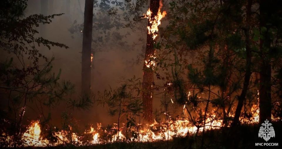 ����� 50 ���. �������� ���� � ���������� ���������� �� ������� � ������ �������� � 2020 ����