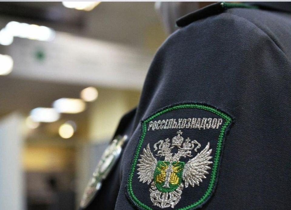 ���������������� ��� ������ �������� �� ����������� �������������� ������