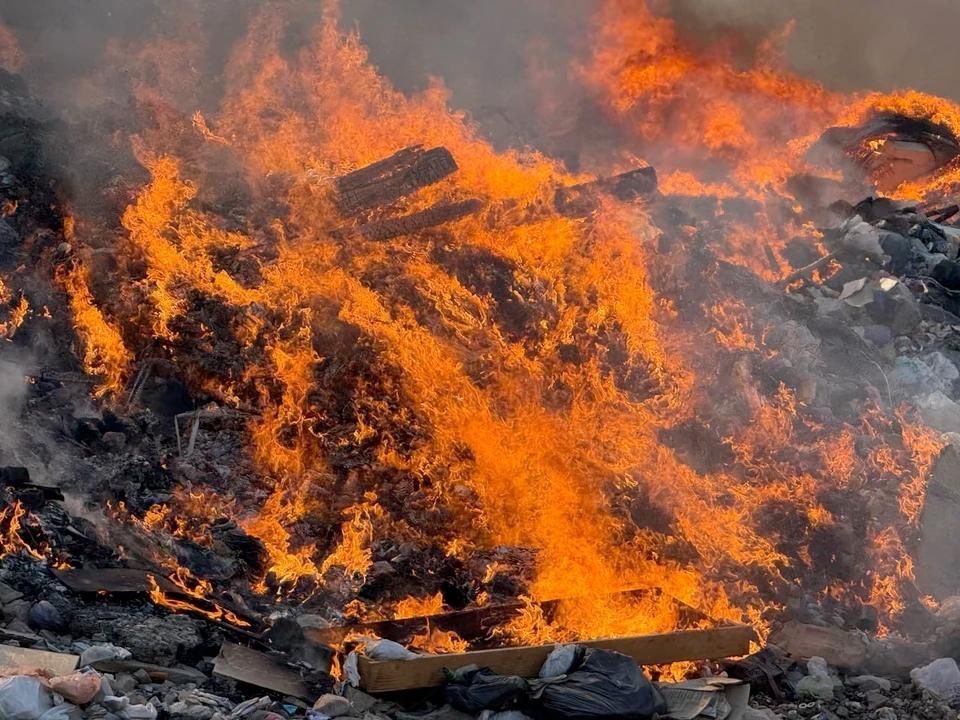 �� �������� � ��� �������� 19 �������� ����������