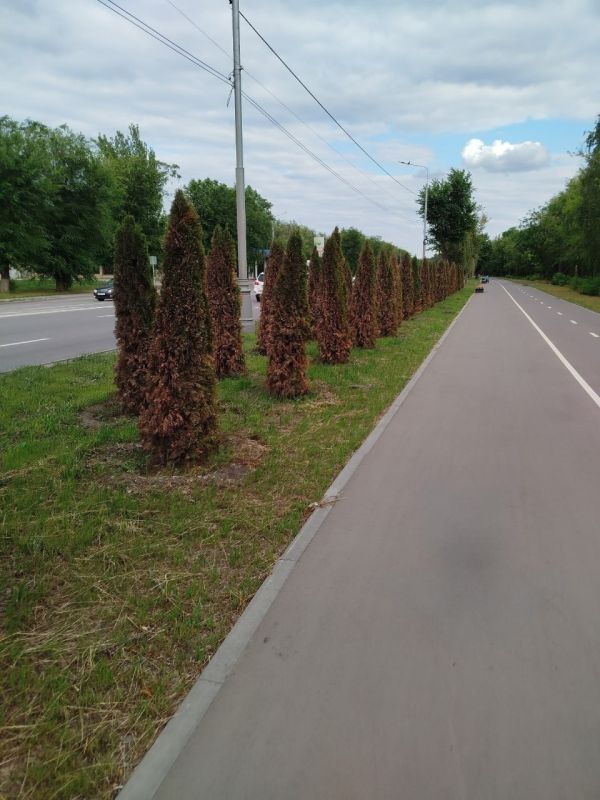 ��������� ��� �� ����� ��������� �������� �� ������ �� ����, �� � �� ����������