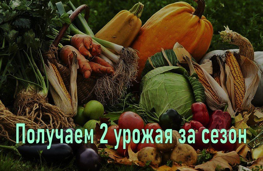 ������������ �� ��������: ��� ������� � ������� ��� �������� ������