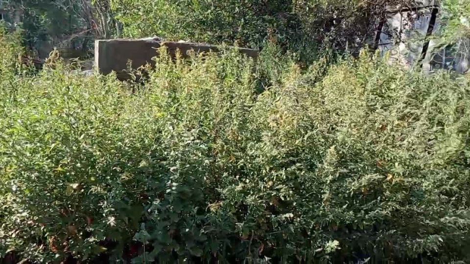 ������ ���������� �������� �������� �������� �� ���� ������ �� ������ � ����� � ������������ ����