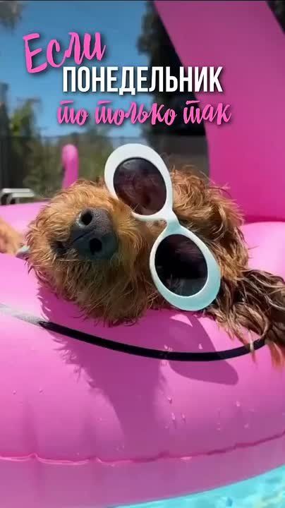 ������ ������ ��, ��� ������� � ����� ��, ��� ���� ������� ���������� - ��� ���� ����� � ����� ����� ���� � �� �������