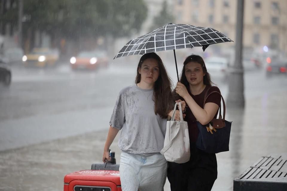 ������� ����� ������� ���. ������ ������ �����