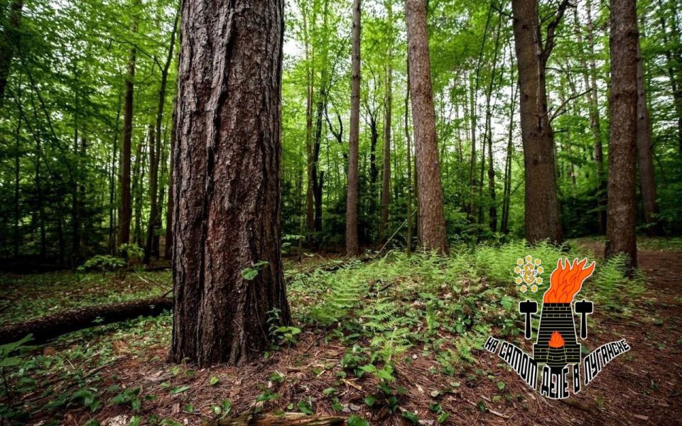 � ��� ������ ��������� �� �������������� �����