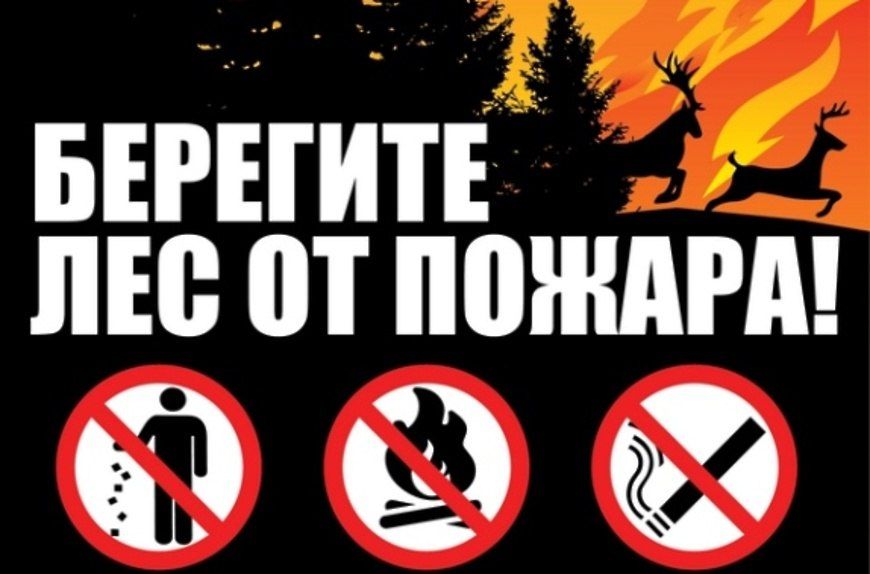 ������ ����� � ��� ���������������� ������� �������, ������������������ �� ������ �������, �������� ����������� � ������ ������������������ � ��������� �����