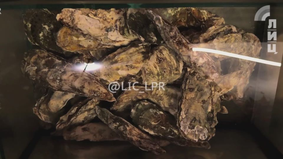 ��� ������� �������� � �������: ������ � ����������, ������� ���� ��������� � ���, ������ ����������