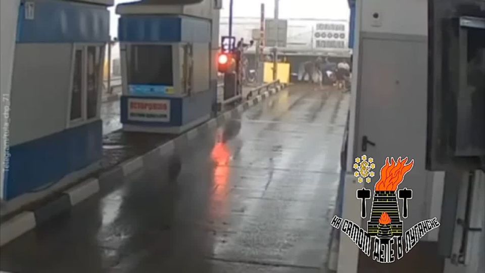 ������ �����: ������� ����� �������� �� ���� �������� "�������� - ������� - ������"