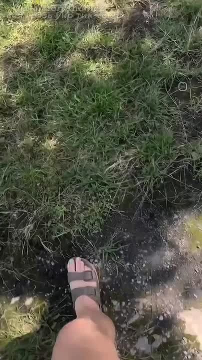 ������ ����� ���� ��������� ������� �� �����