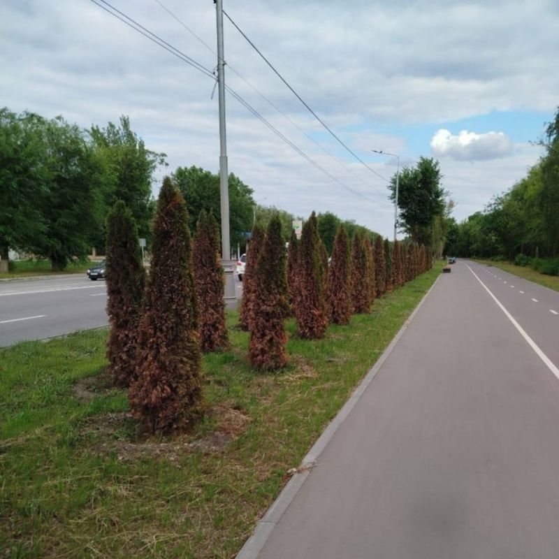 �� ����� ��������� � �������� ������ ������� ���: � ����������� ��������� �������