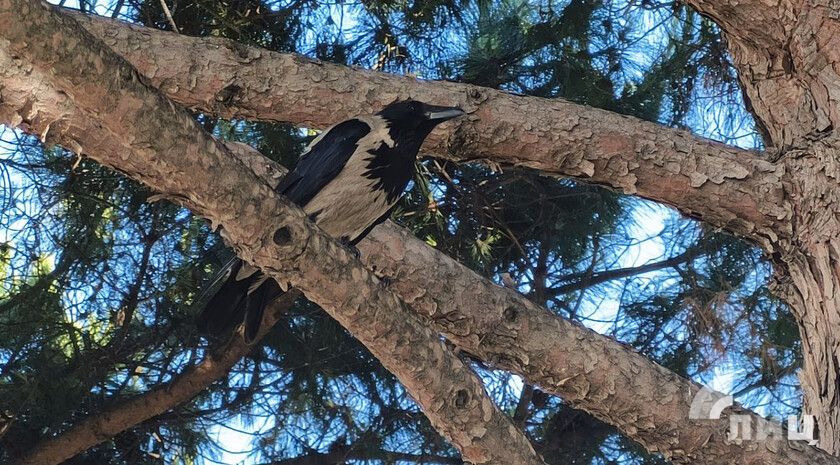 ��������� ������������ 6 ������� � ��� �� 33 �������� �����