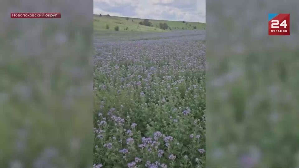 � ������������� ������ ���������� ������ �� ������ � ��������� �������� �������������� ������� 300 ���������� � ��� ����� 30 ��� ���������