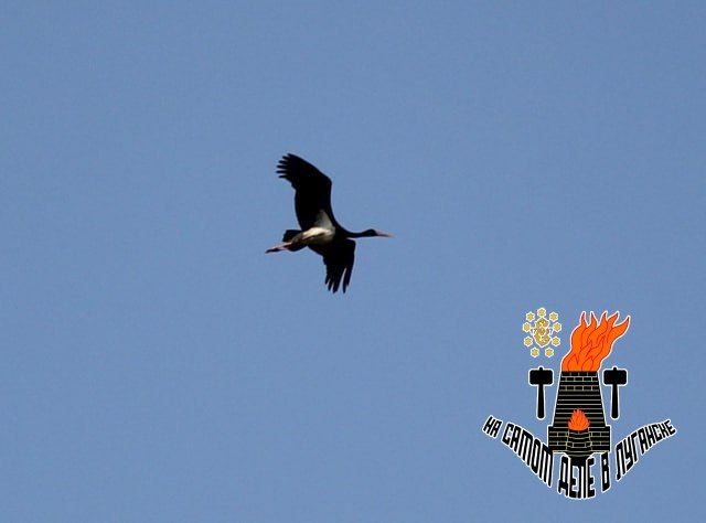 � ��� �������� ������� ������� �����