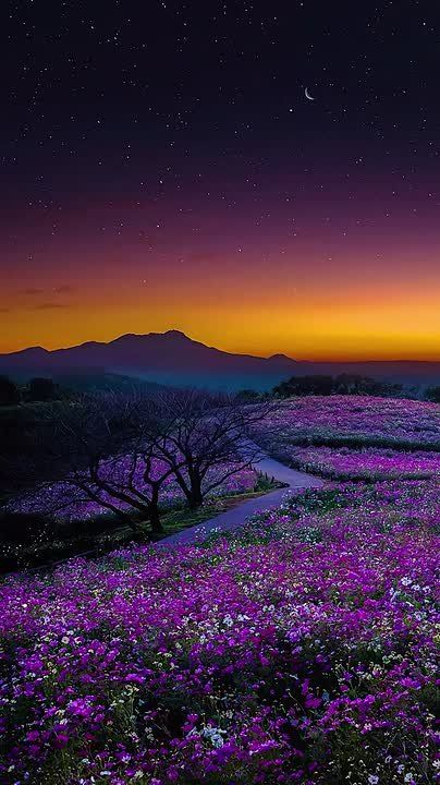 ����� �����, ��� � ��� ������, �� ����������� ����� � �����, ����� ��� ������, ������ ���� ��� ��������, ��� � �����, �� ����