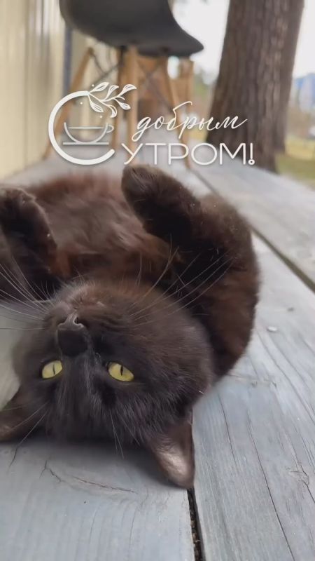 ��� ������ ����, ��� �������� ����, ������� ��� �� �������� ���� �����