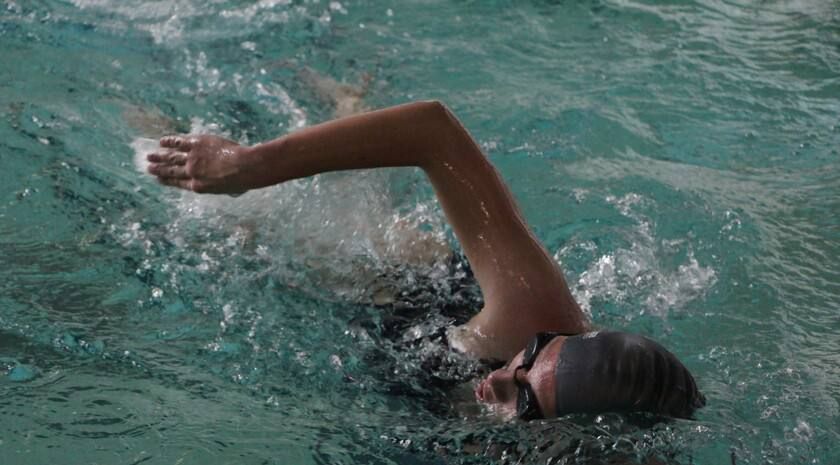 Четыре атлета из ЛНР по итогам всероссийских и международных турниров стали мастерами спорта России