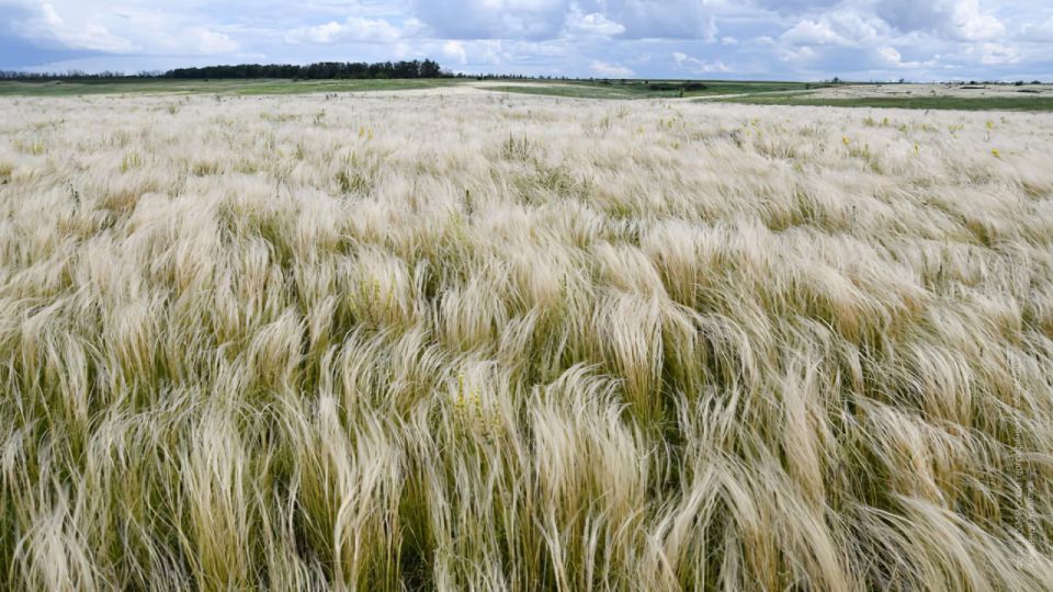 � ��� ������� ��������� �������� ������������ �������� ��������