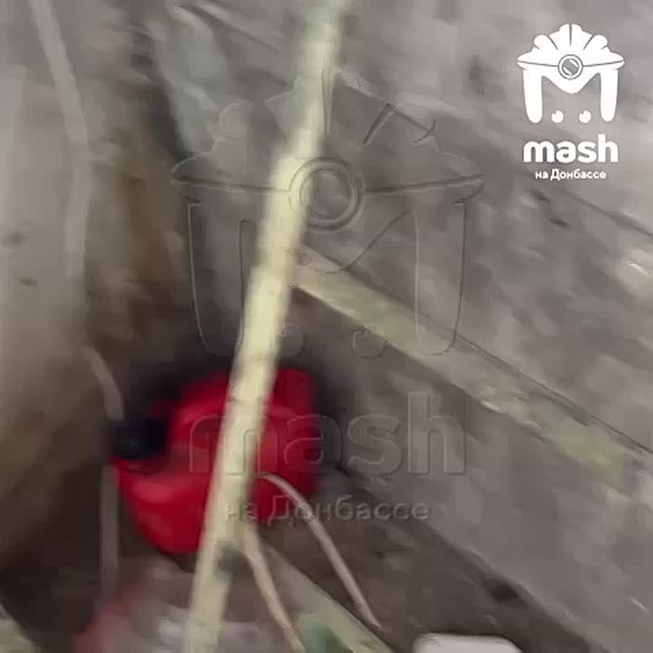 ��������� ��������� ����� ������������ � �������� � ������ �������� ������ ���� ��������