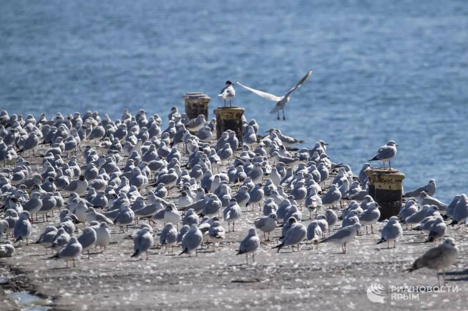 ������ �� ����� ����������� ������