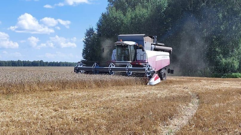 � ���� ��������� �������� 2025 � ���: �������� ������ �� ��������� �� 11 �������, ������ 314 ���