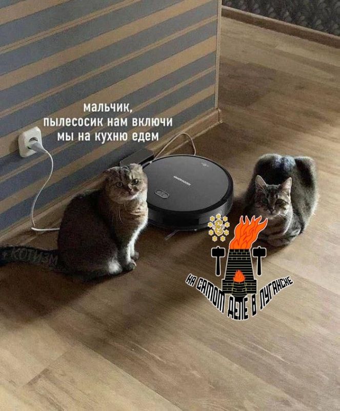 ��������� �����?. �����-������� ���� ��������� � ��������� - ���� ������� ���� � ������, ����� ������ �������� ���� � �������� � ������� ���������������� �����