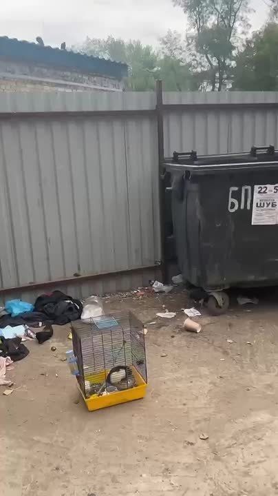 �����, ������������ ������ - ����� ����� �������