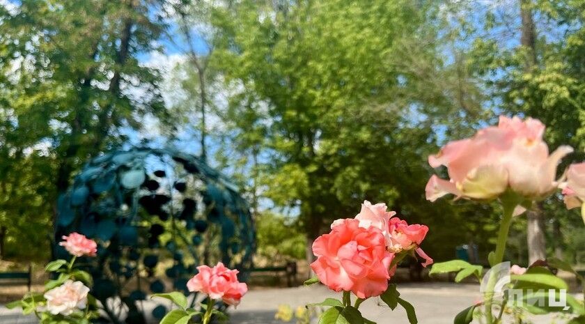 ��������� ������������ 12 ������� � ��� �� 27 �������� �����, ������� ��������� �����